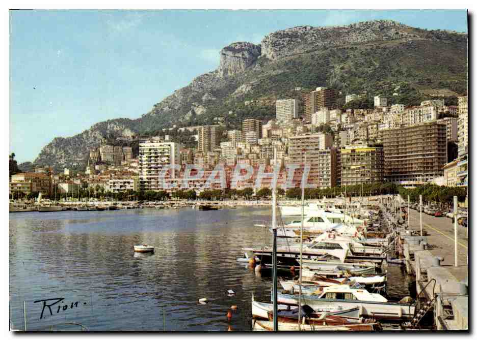 CPM Principaute De Monaco Le port La Condamine et la tete de chien 