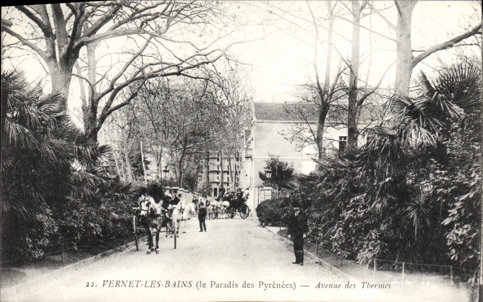 CPA Vernet les Bains Avenue des Thermes Caleche Cheval
