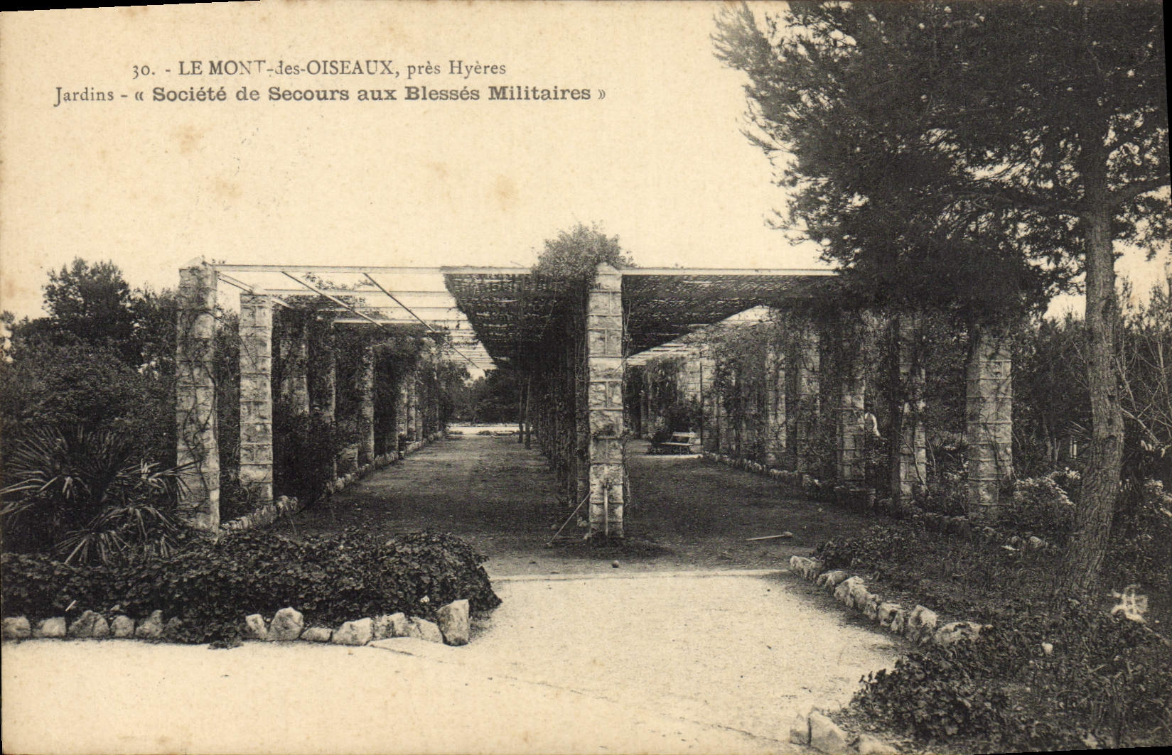 LE MONT-DES-OISEAUX, près Hyères — Jardins de la Société de Secours aux Blessés Militaires — n°30