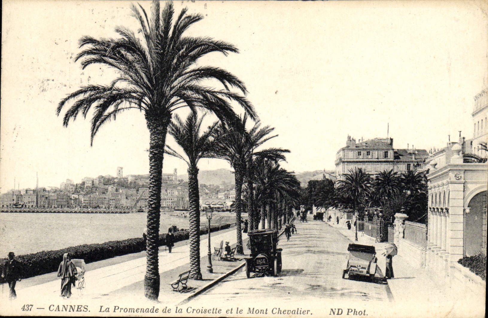 CPA Cannes La Promenade de la Croisette et le Mont Chevalier 