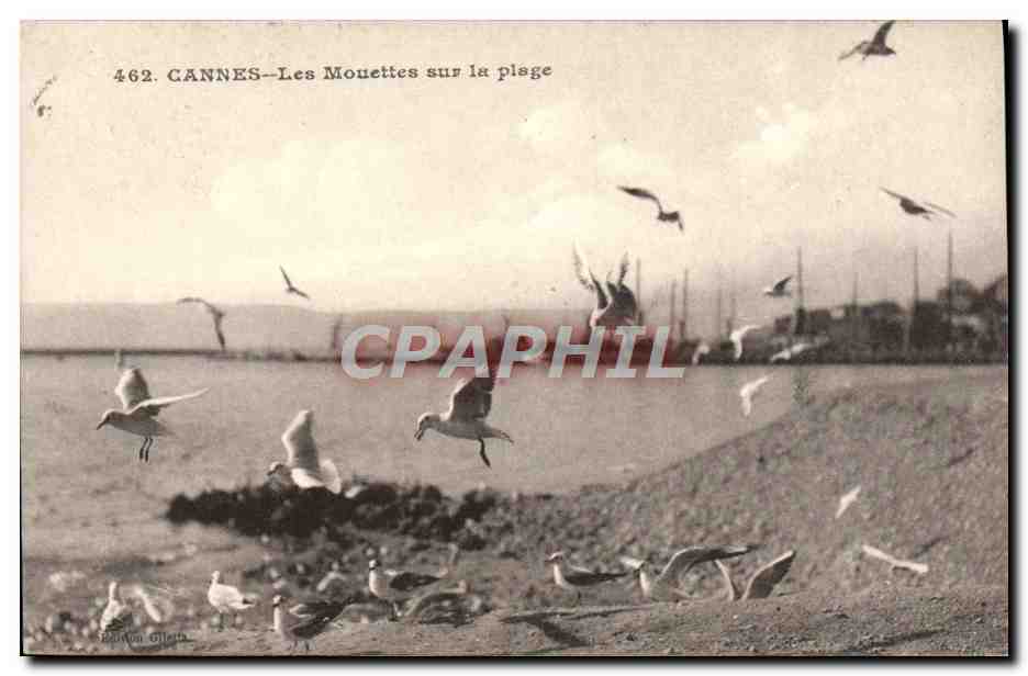 CPA Cannes Les Mouettes sur la Plage 