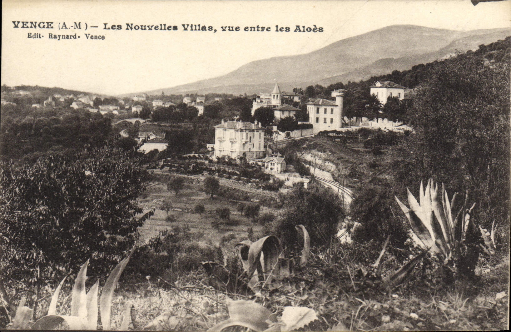 CPA Vence Les Nouvelles Villas Vue entre les Aloes 