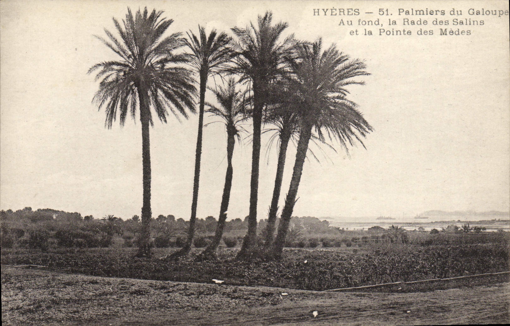 Hyères — 51. Palme del Galoupe — In fondo, la Baia dei Salini e la Punta delle Mèdes
