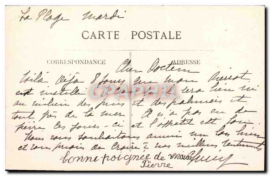 Hyères — 51. Palme del Galoupe — In fondo, la Baia dei Salini e la Punta delle Mèdes — Verso