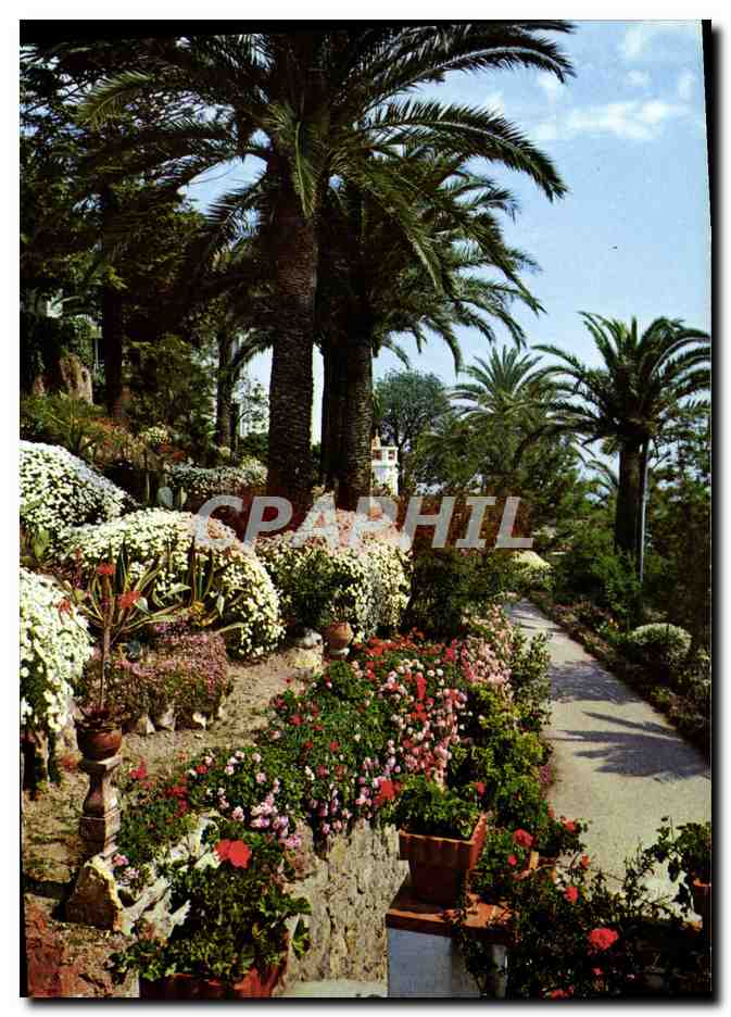 CPM Theoule Villa St Camille et ses jardins fleuris 
