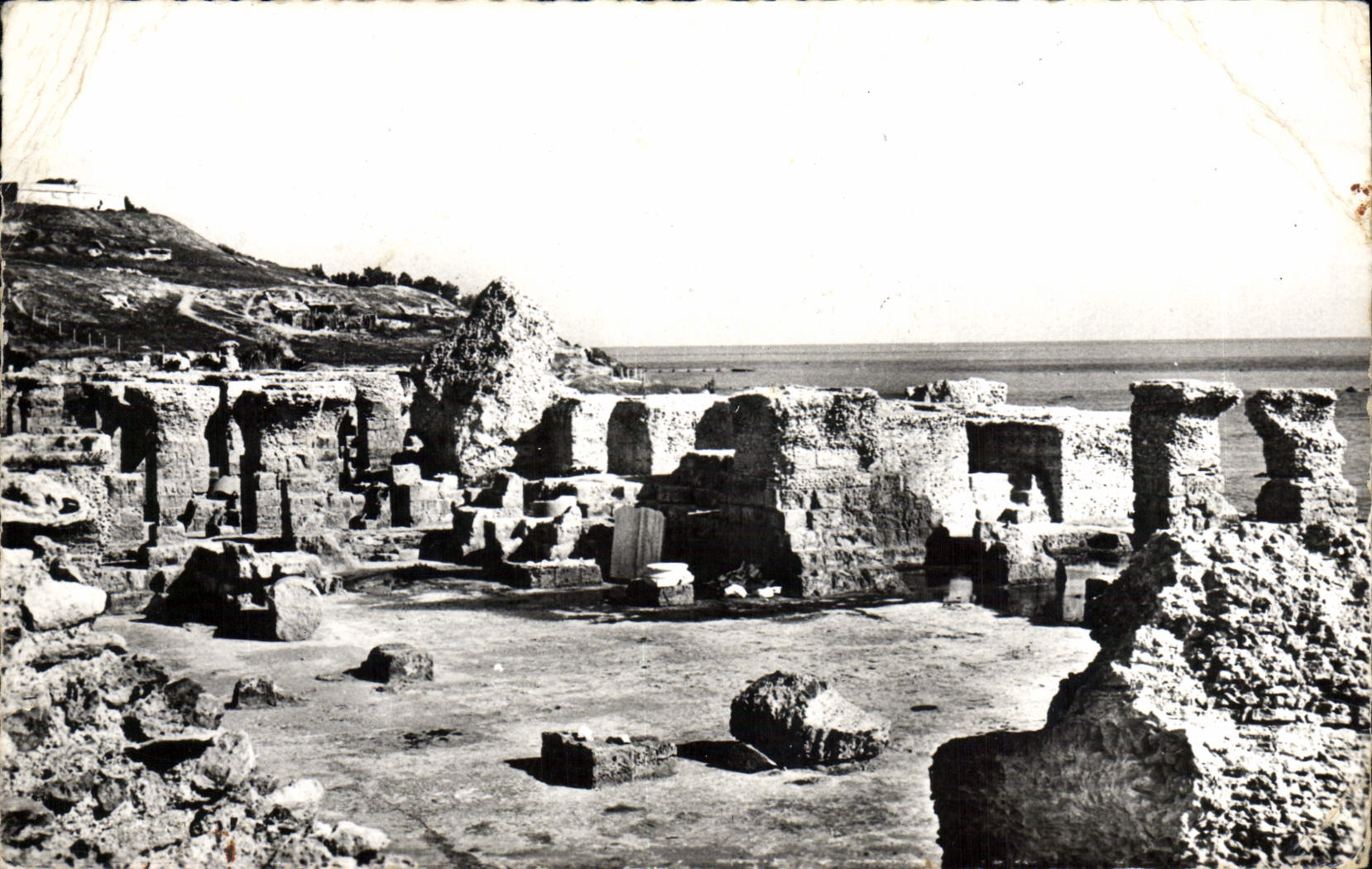 CPM Musee National Du Bardo Carthage Les Thermes D'Antonin