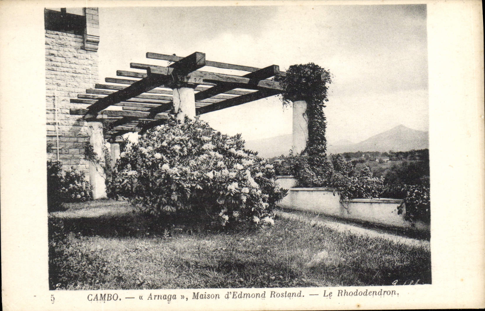 CPA Cambo Arnaga Maison D'Edmond Rostand Le Rhododendron