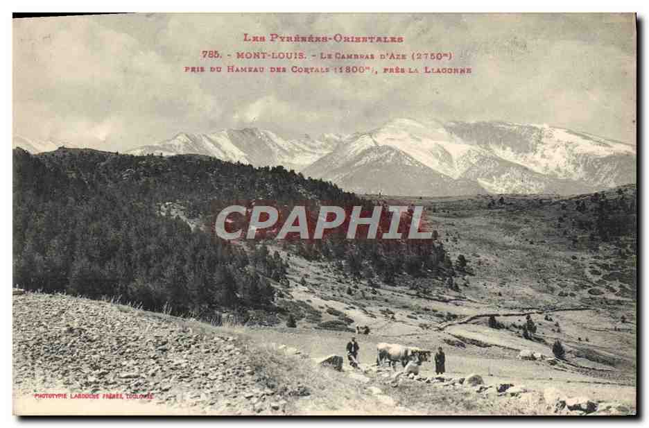 CPA Montlouis Le Cambras D'Aze pris du hameau des Cortals pres la Llagonne Charrue Boeufs Attelage 