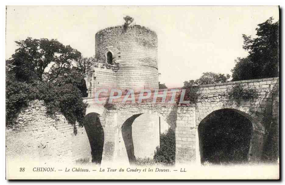 CPA Chinon Le Chateau La Tour Du Coudry Et Les Douves