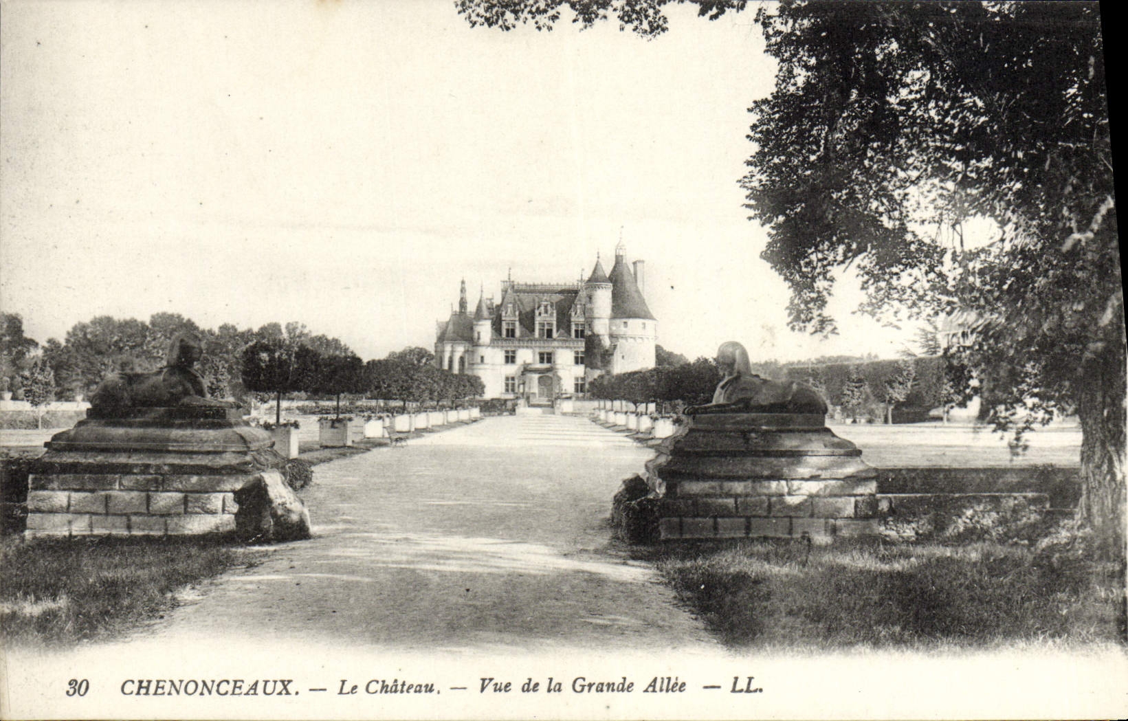 CPA Chenonceaux Le Chateau Vue De La Grande Allee Sphinx