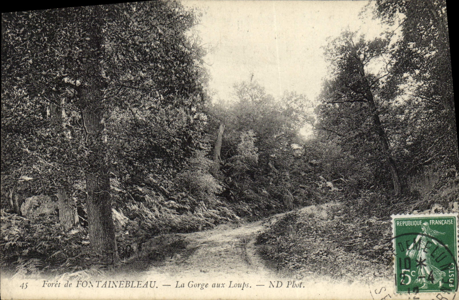 Bosque de FONTAINEBLEAU — La Garganta de los Lobos — ND Fot.
