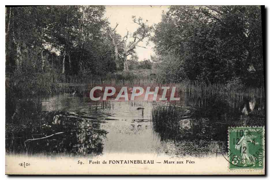 Forêt de FONTAINEBLEAU — Mare aux Fées — Éditeur ELD, n°59