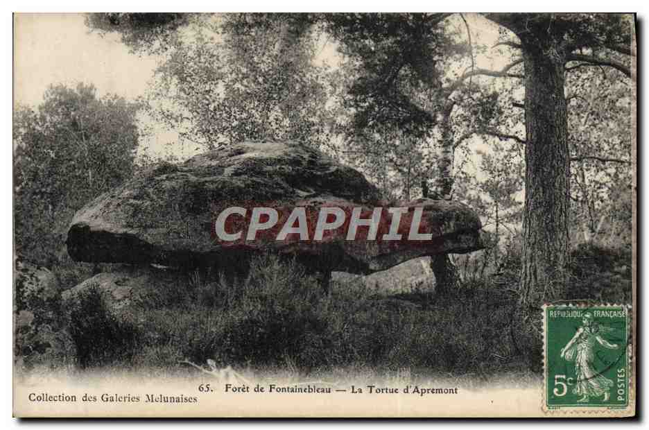 Foresta di Fontainebleau — La Tartaruga d'Apremont — Collezione delle Gallerie Melunaise