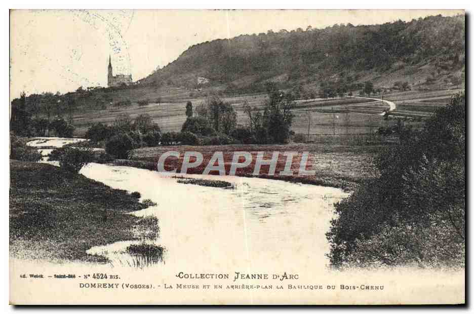CPA Domremy La Meuse et son arriere plan la basilique de Bois Chenu