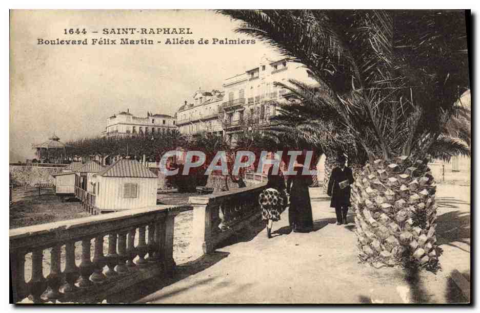 CPA Saint Raphael Boulevard Felix Martin Allees de Palmiers