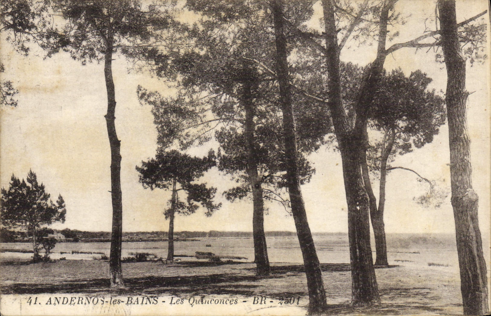 Les Quinconces - Andernos-les-Bains — BR-2501, éditeur Bline Frères