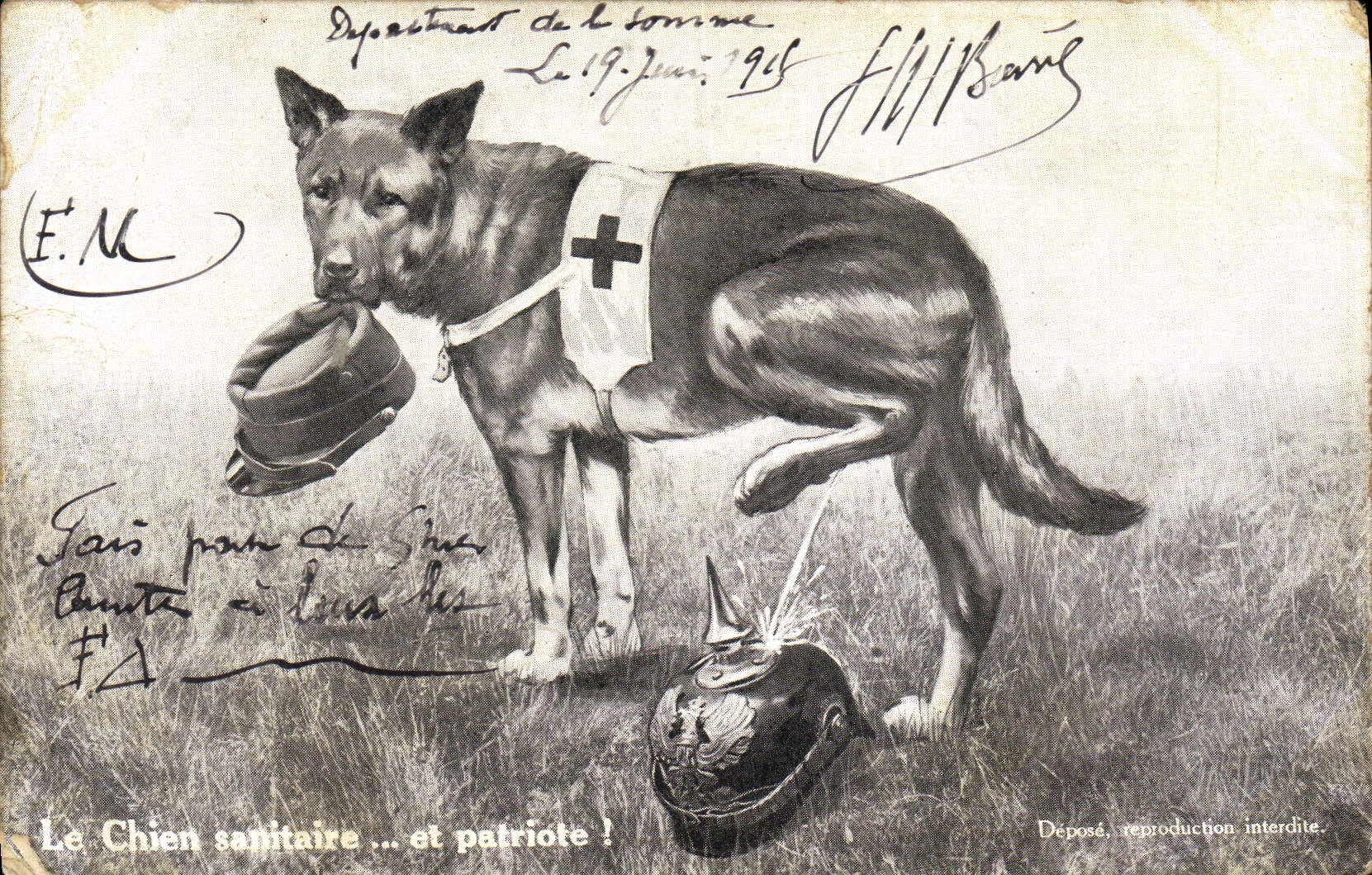 CPA Le Chien Sanitaire Et Patriote Militaria Croix Rouge