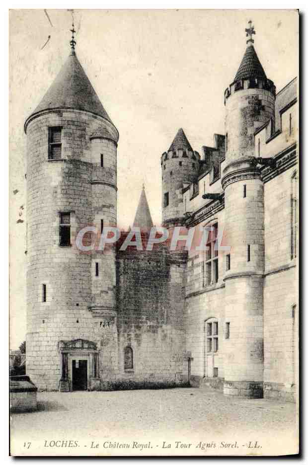 CPA Loches Le Chateau Royal La Tour Agnes Sorel