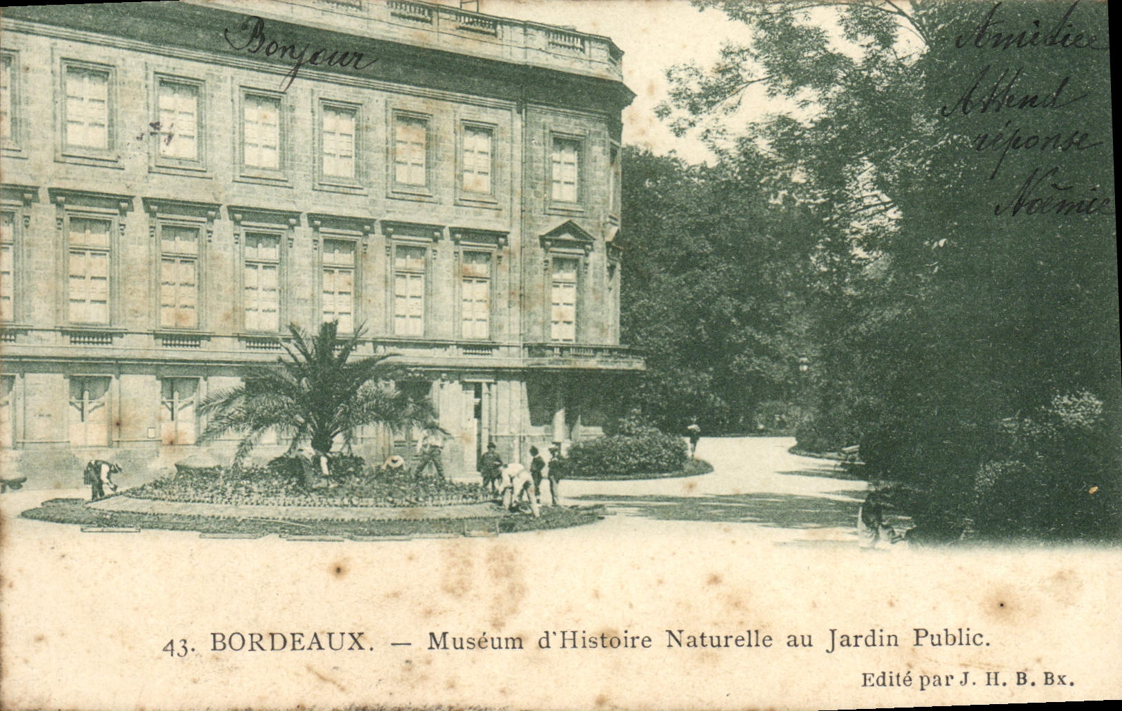 CPA Bordeaux Museum D'Histoire Naturelle au jardin public 