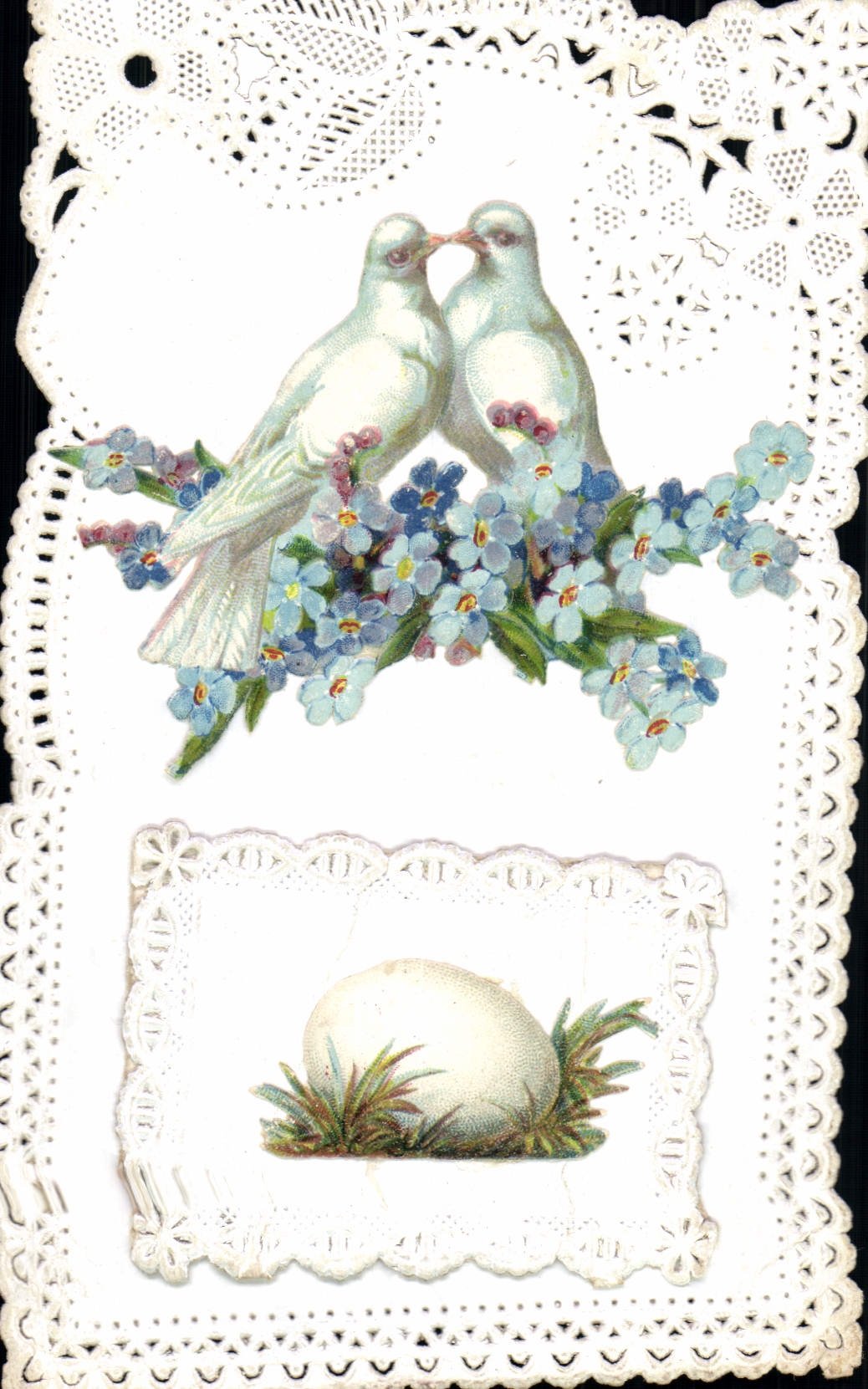 CPA Brodee Fantaisie Fleurs Colombes Oeuf 
