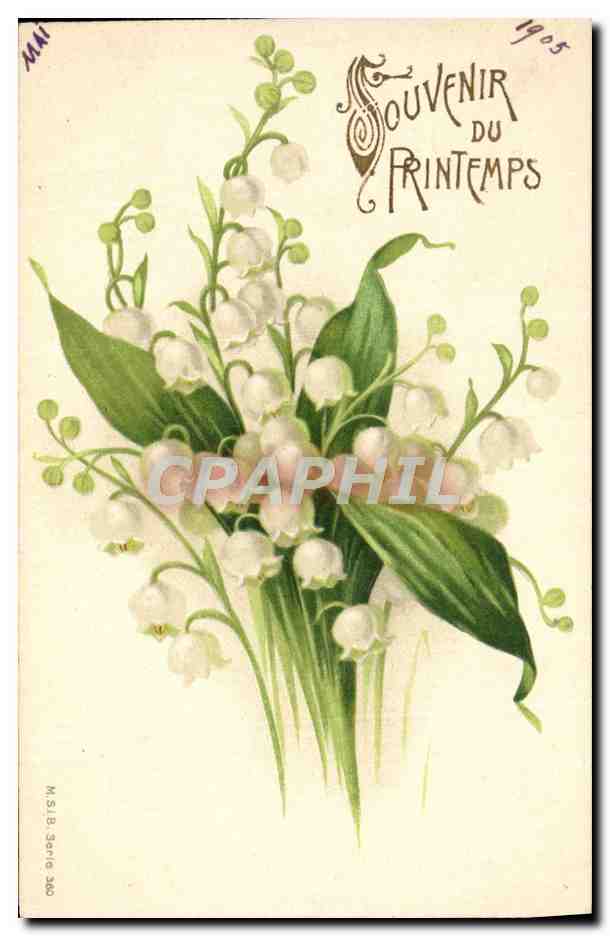 CPA Fantaisie Fleurs Muguet