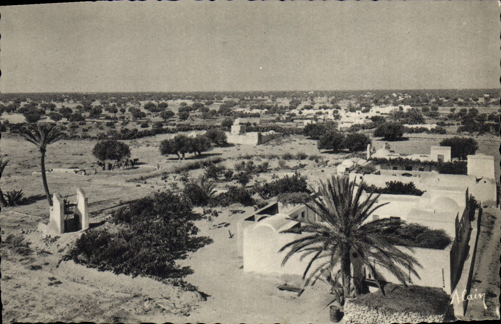 CPA Djerba La Campagne Djerbienne et ses Menzels