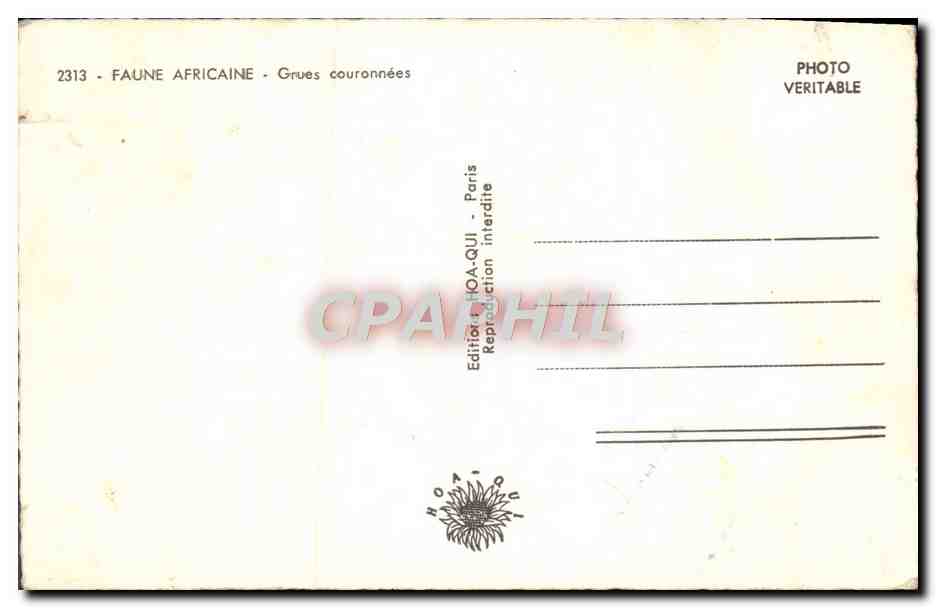 CPM Faune Africaine Grues couronnees — Back