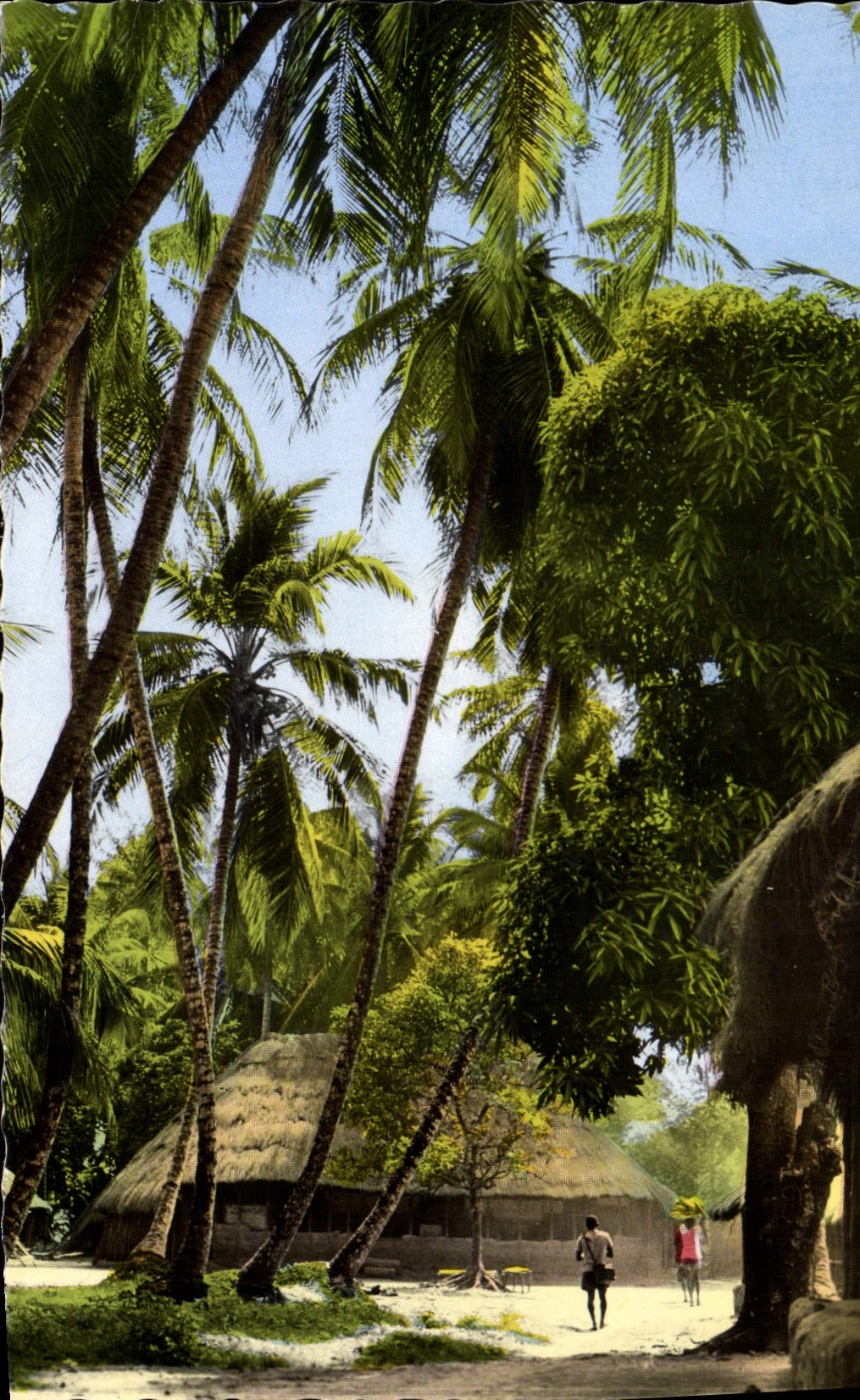 CPM L'Afrique En Couleurs Village Sous Les Palmiers