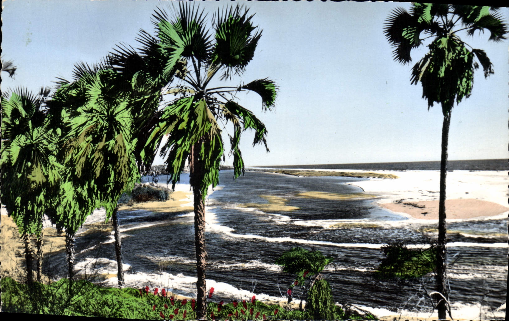 CPM Africolor Vue Sur l'Ocean Atlantique Cameroun