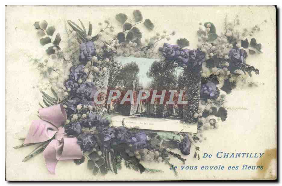 CPA Fantaisie Fleurs Chantilly
