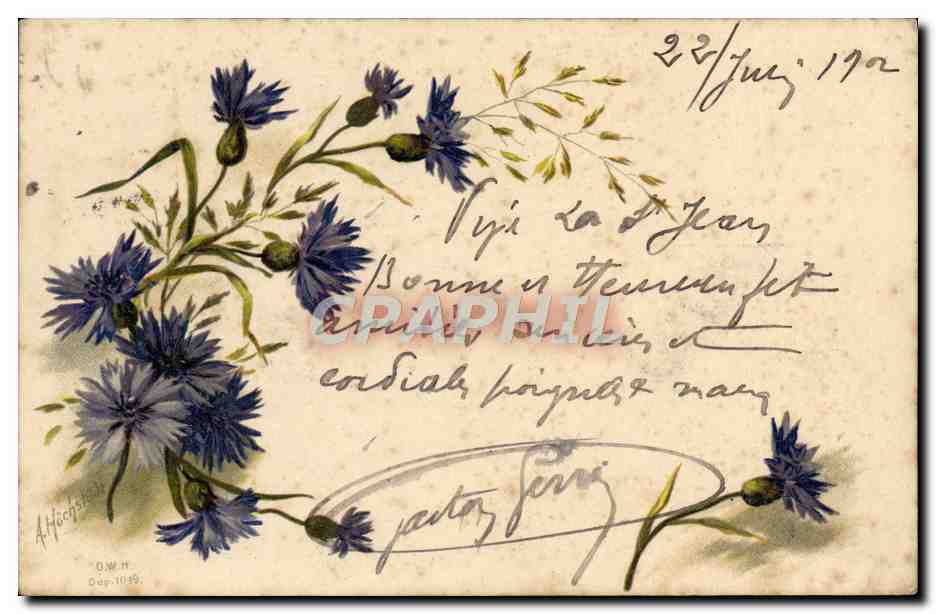 CPA Fantaisie Fleurs