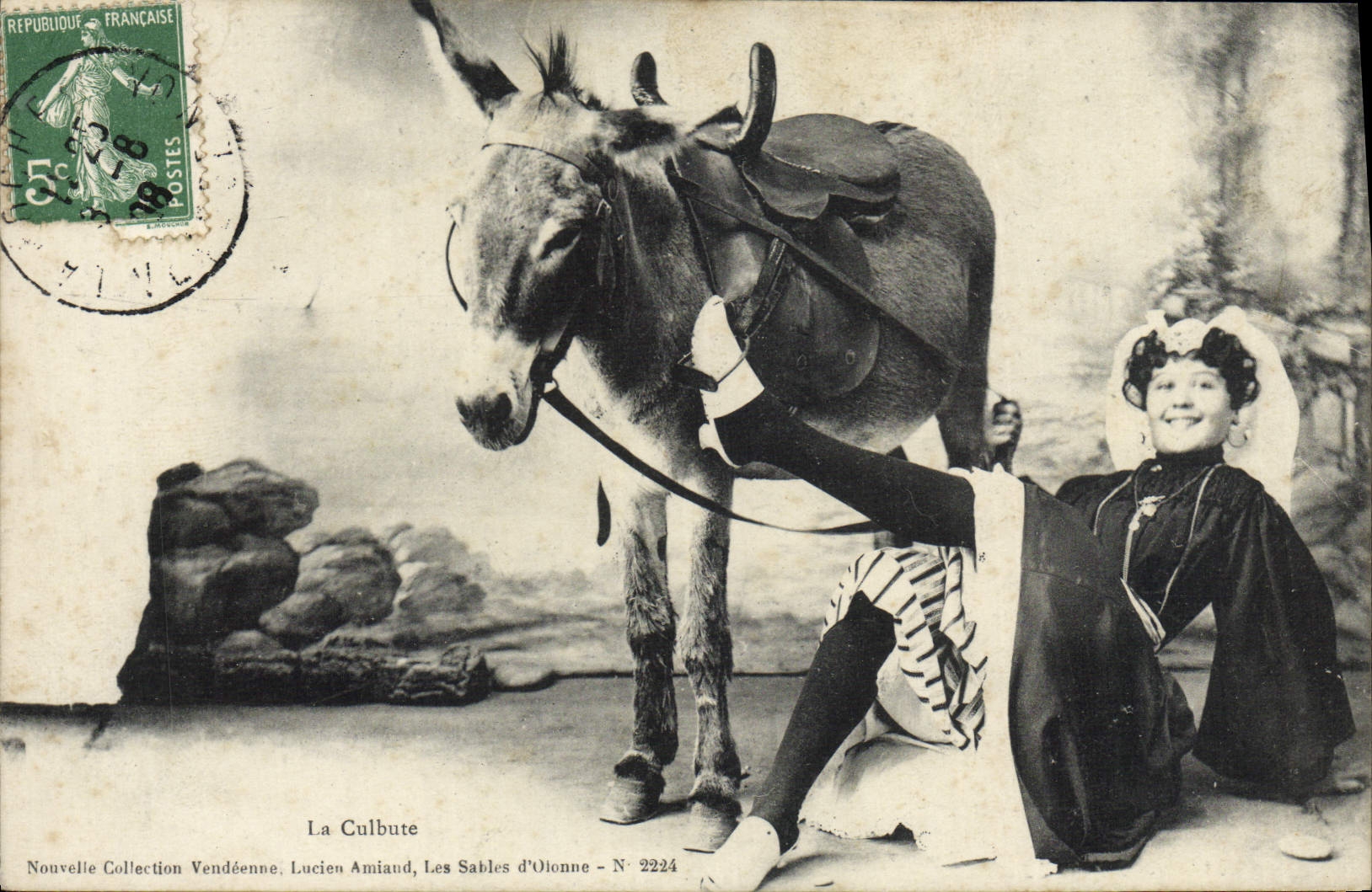 CPA Les Sables D'Olonne La Culbute Ane Mule Folklore 