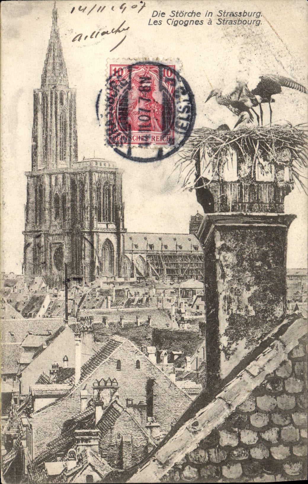 CPA Strassburg Les Cigognes