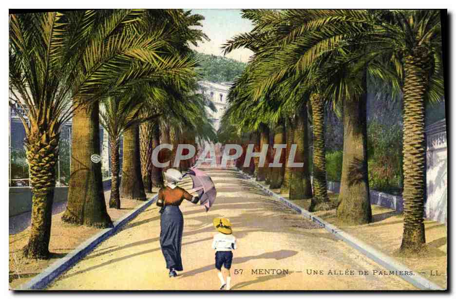 CPA Menton Une Allee De Palmiers