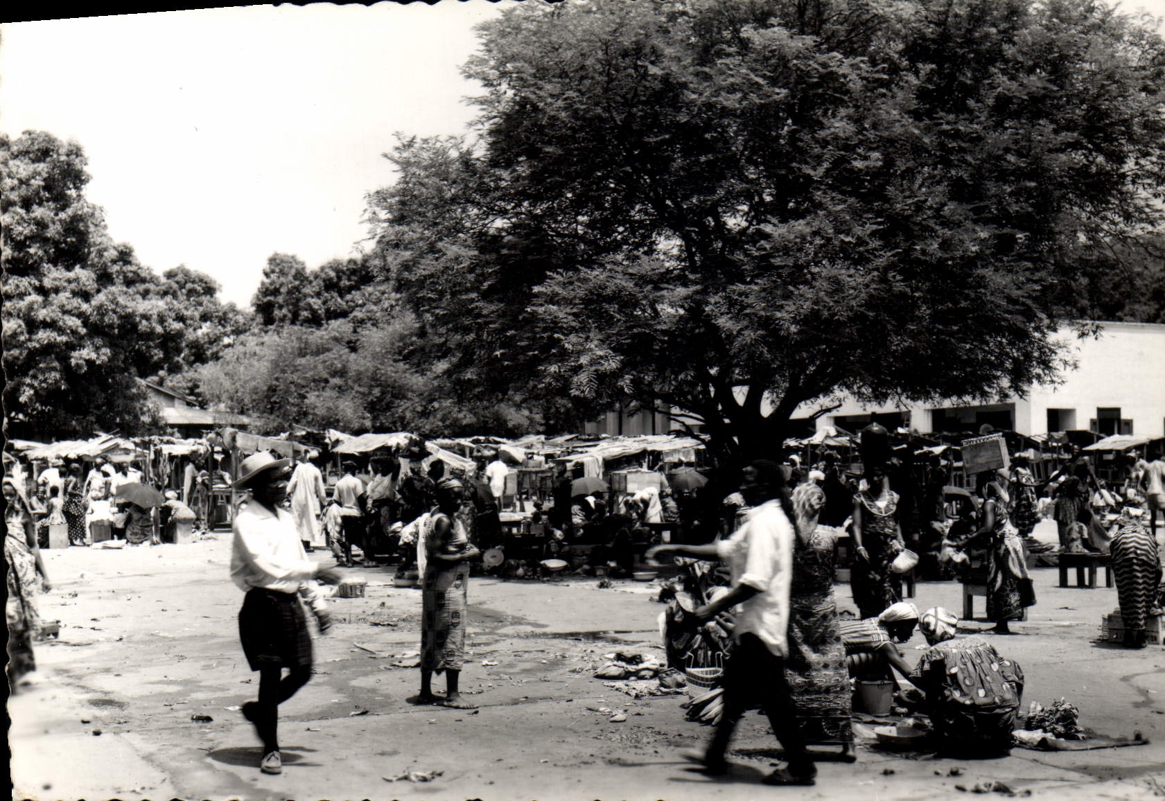 CPM Afrique Marche 