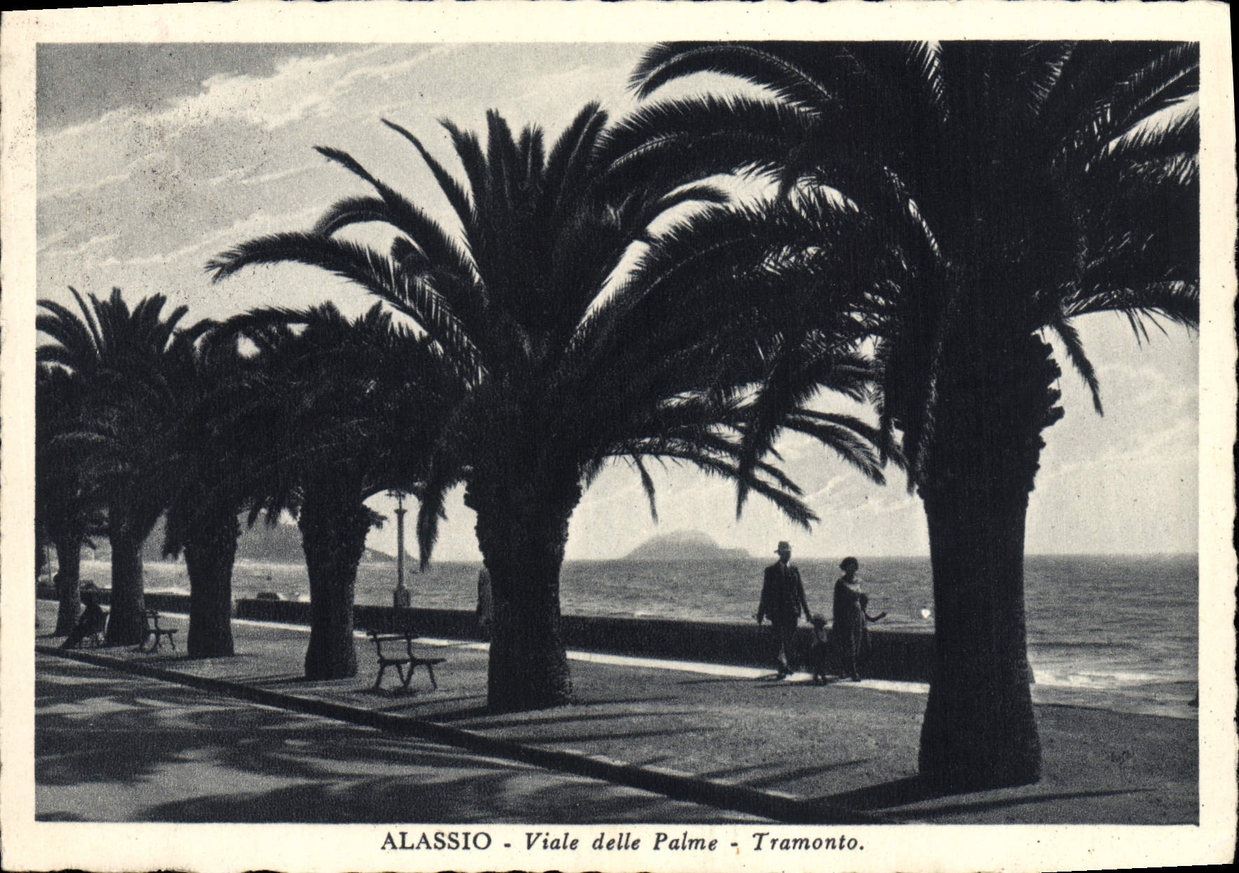 CPA Alassio Viale Delle Palme Tramonto