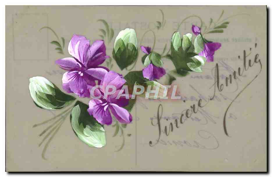 CPA Sincere Amities Fleurs