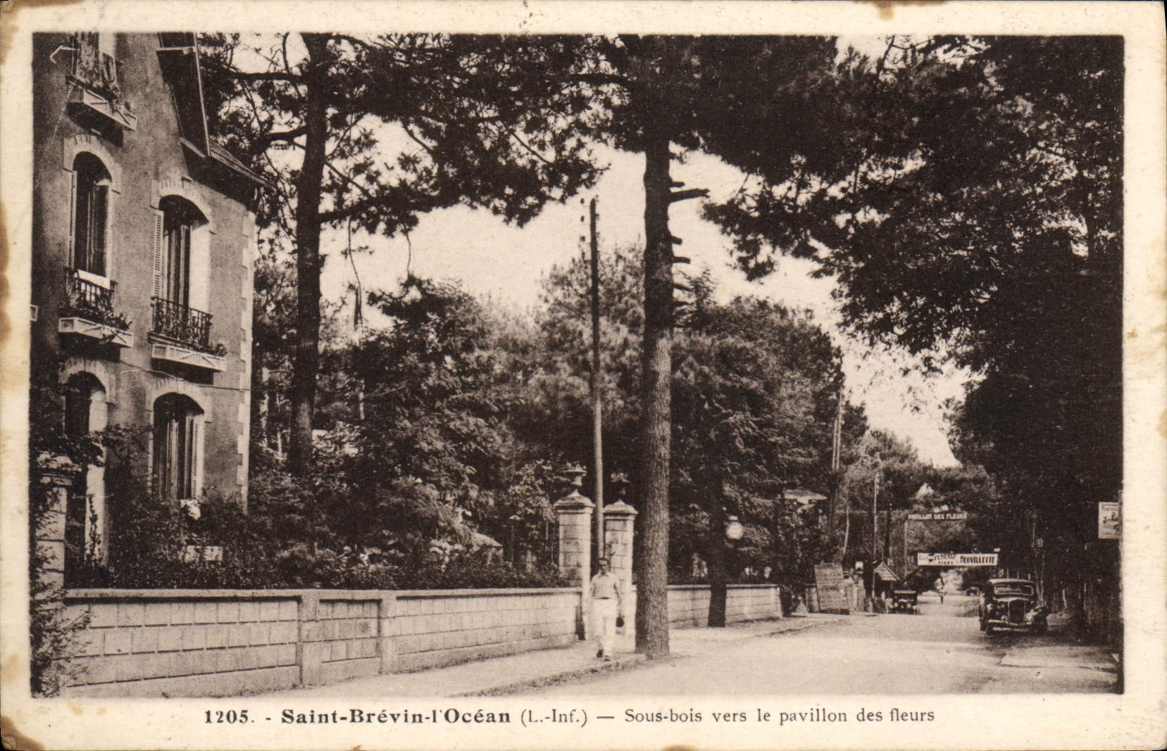 CPA Saint Brevin Les Pins Sous Bois Vers Le Pavillon Des Fleurs