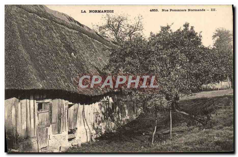 CPA Normandie Nos pommiers normands 