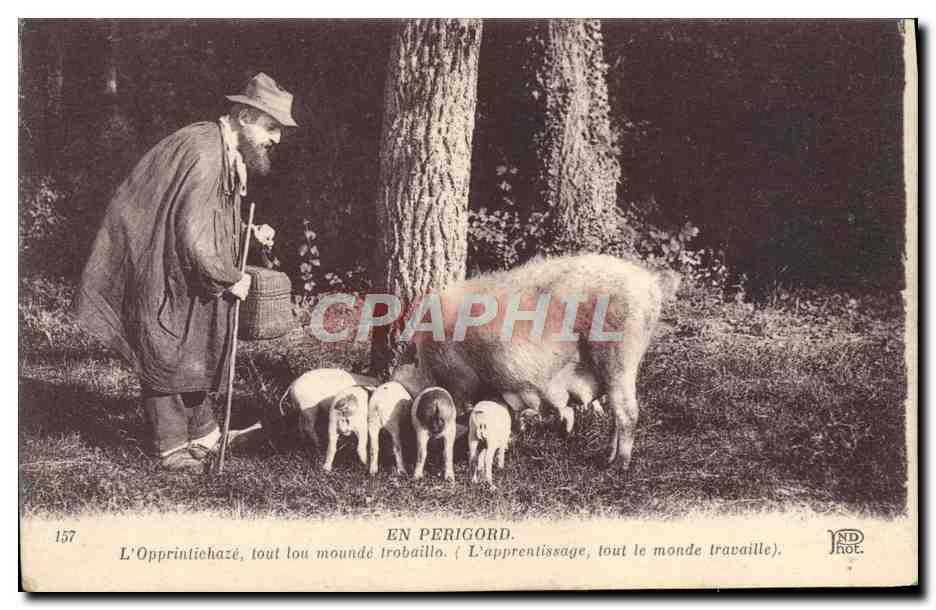 En Périgord — L'apprentissage, tout le monde travaille — ND Phot.