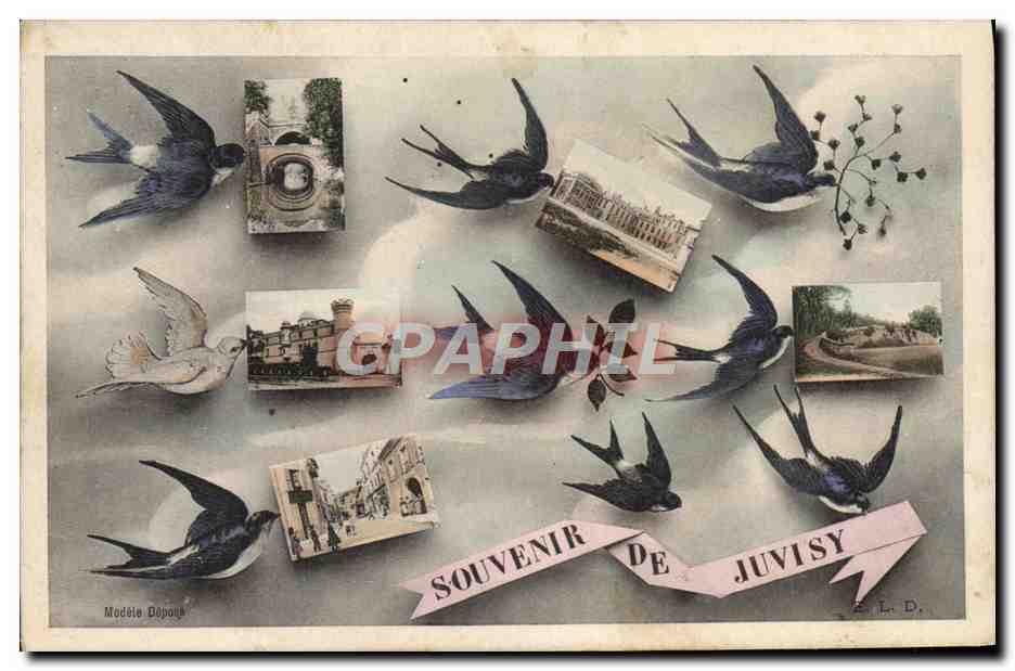 CPA Souvenir De Juvisy Hirondelles 