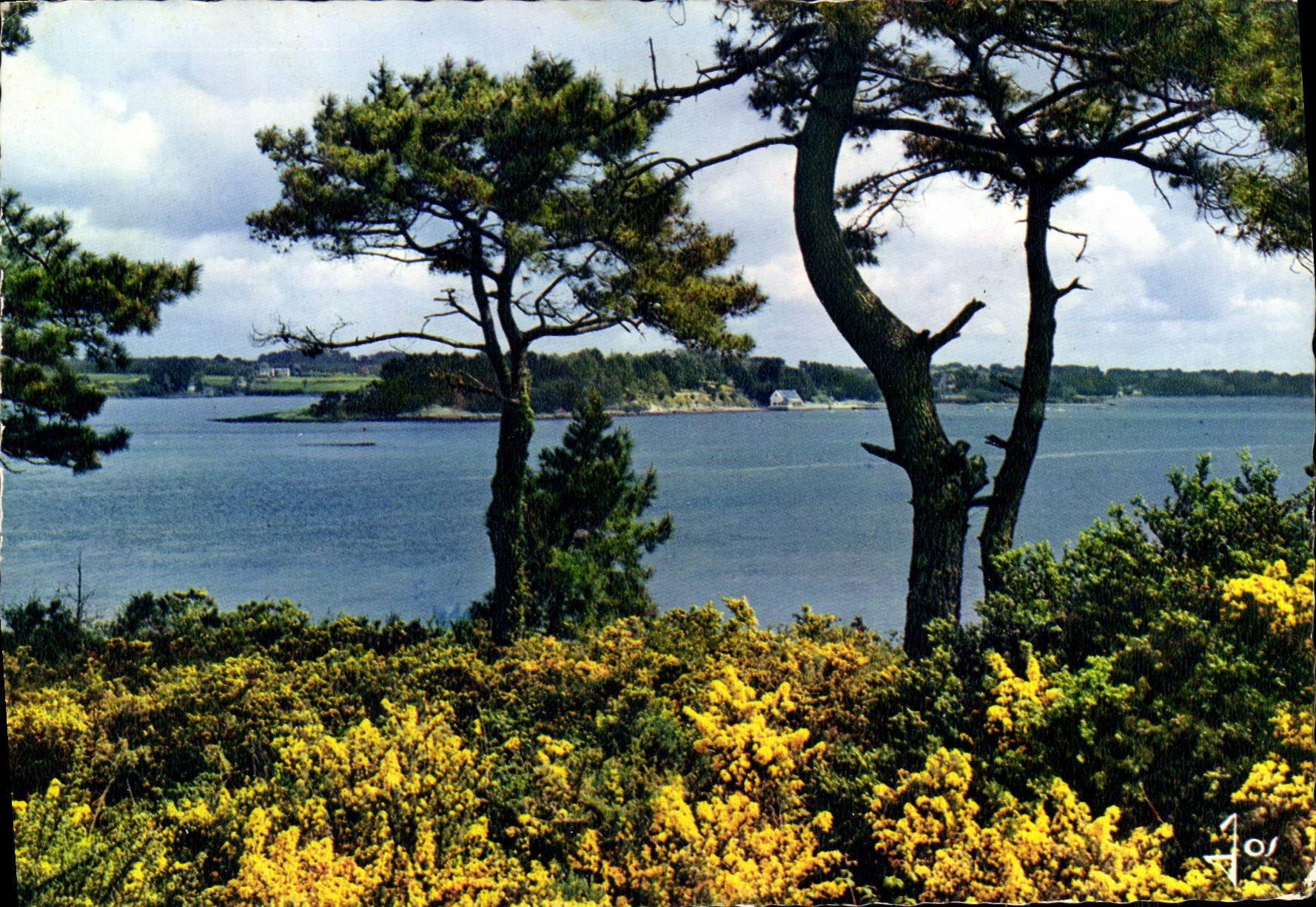 Vue générale sur la Golfe — L'Île aux Moines (Morbihan) — Éditions d'Art Jos