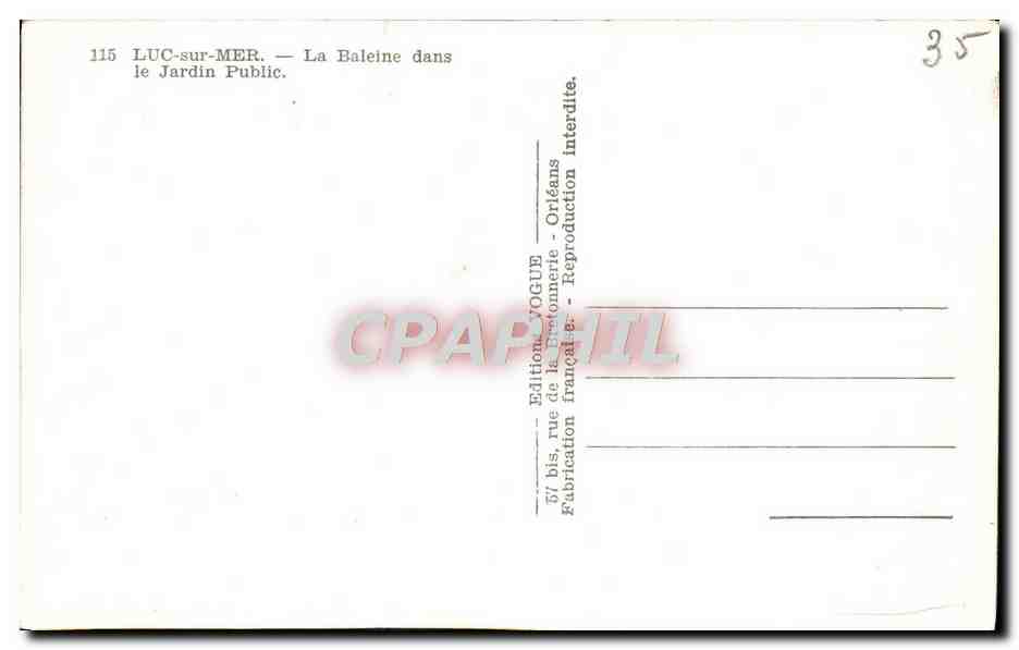 CPM Luc Sur Mer La Baleine Dans Le Jardin Public — Verso