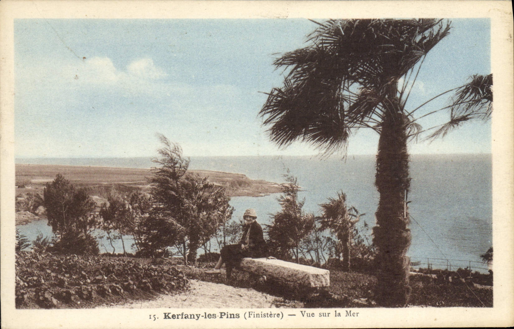 CPA Kerfany Les Pins Vue Sur La Mer