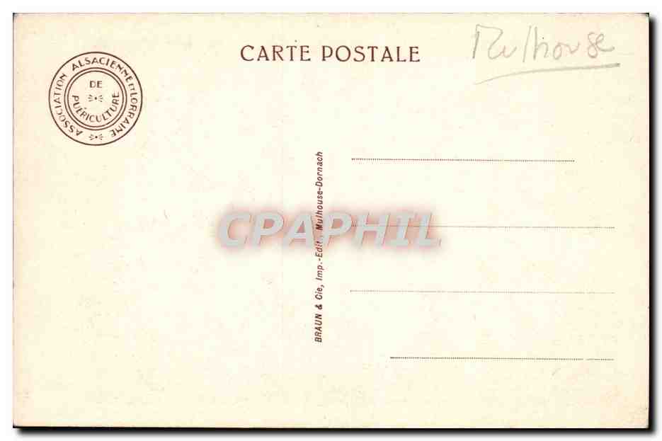 CPA Mulhouse  — Verso