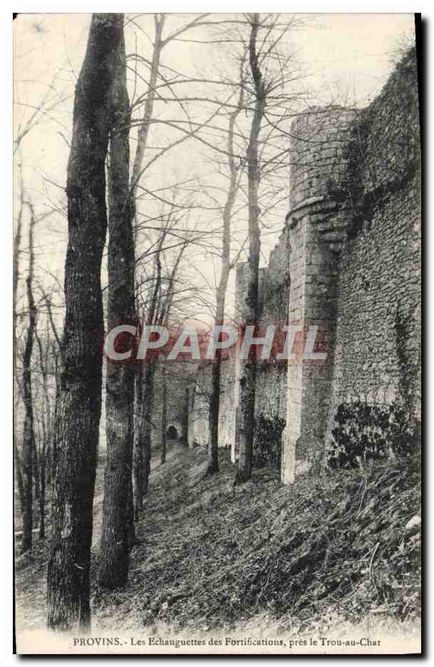 Provins - Les Echauguettes des Fortifications, près le Trou-au-Chat