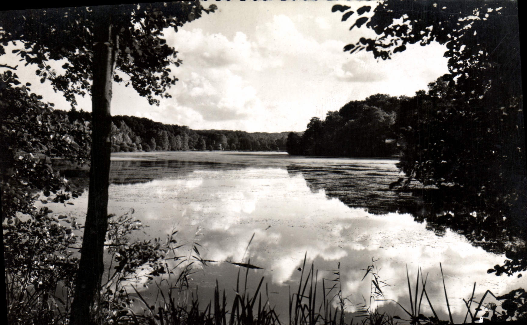 Etang de St-Pierre — Environs de PIERREFONDS (Oise) — Les Éditions d'Art 'VYVON', Paris