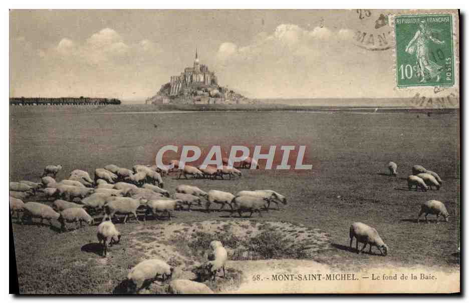 CPA Le Mont Saint Michel Le fond de la baie Moutons Train