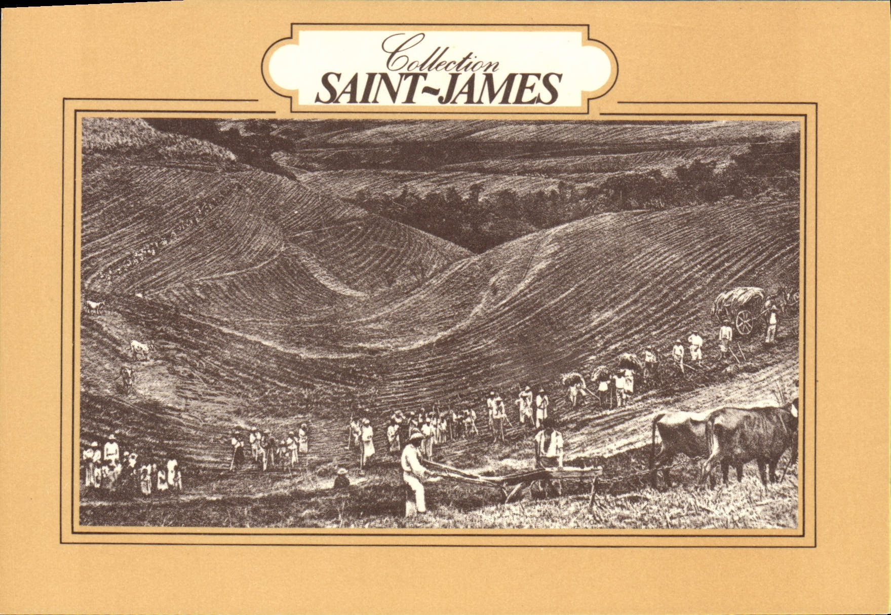 CPM Collection Saint James Musee du Rhum Martinique Vu des employes de Saint James labourant une plantation
