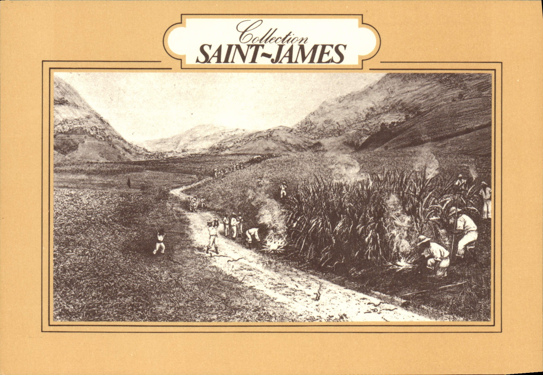 CPM Collection Saint James Musee du Rhum Martinique Destruction des serpents